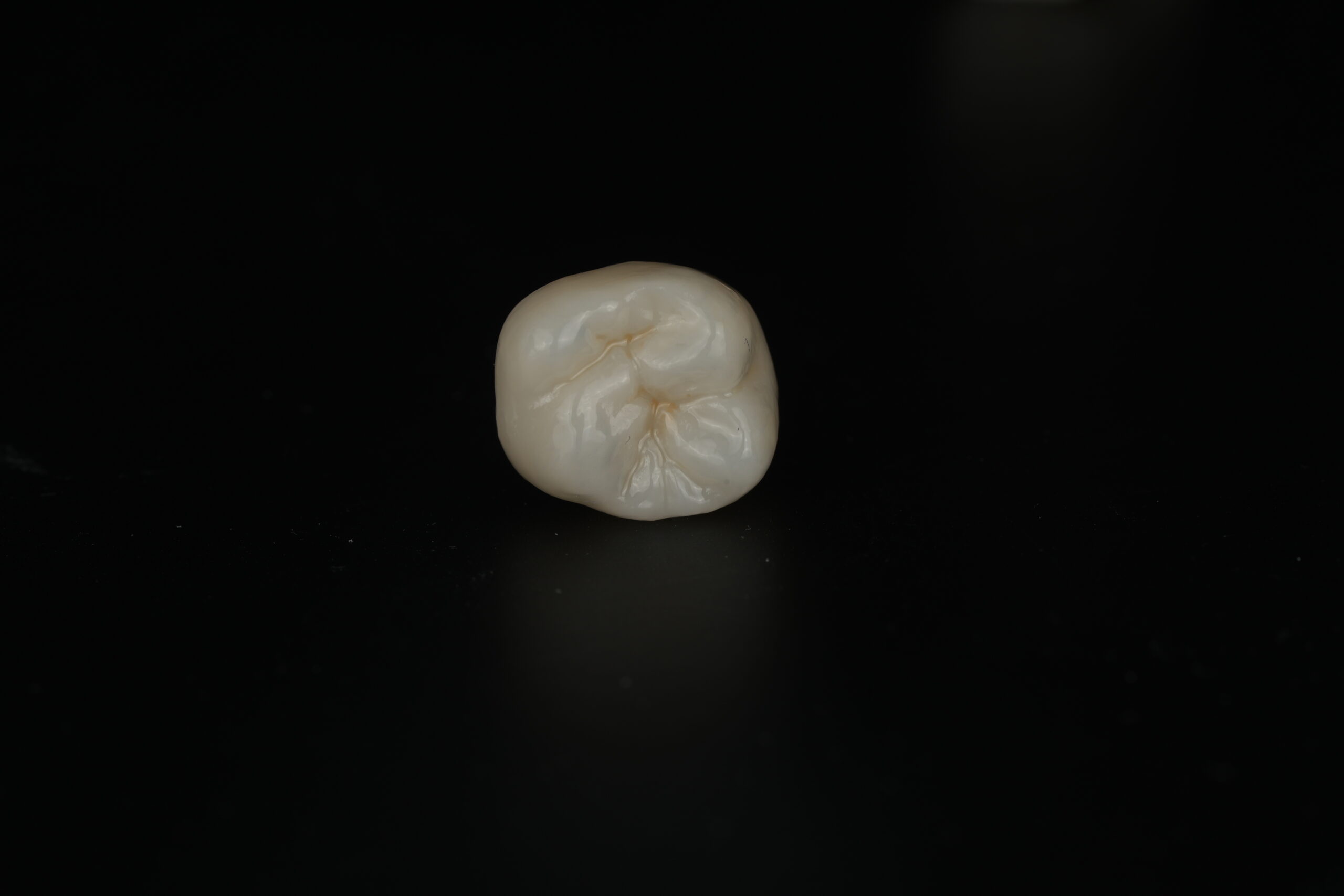 DSC09007